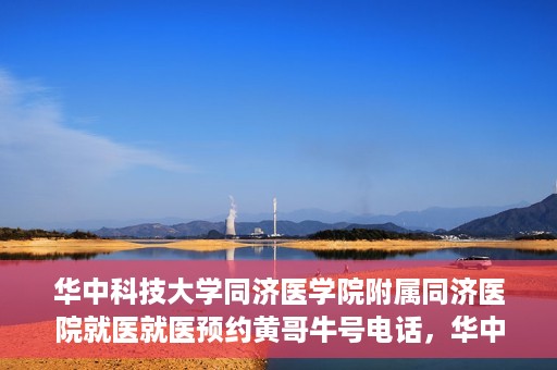 华中科技大学同济医学院附属同济医院就医就医预约黄哥牛号电话，华中科技大学同济医院就医预约指南，黄哥牛号电话全解析