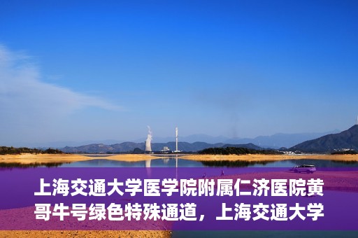 上海交通大学医学院附属仁济医院黄哥牛号绿色特殊通道，上海交通大学医学院附属仁济医院绿色特殊通道，黄哥牛号启动