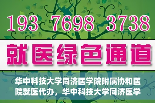 华中科技大学同济医学院附属协和医院就医代办，华中科技大学同济医学院附属协和医院就医代办服务详解