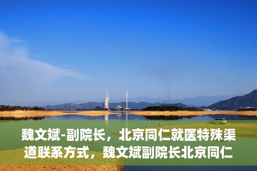 魏文斌-副院长，北京同仁就医特殊渠道联系方式，魏文斌副院长北京同仁医院特殊渠道就医联系方式揭秘