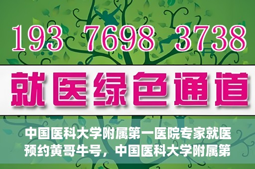 中国医科大学附属第一医院专家就医预约黄哥牛号，中国医科大学附属第一医院专家黄哥牛号预约就医攻略