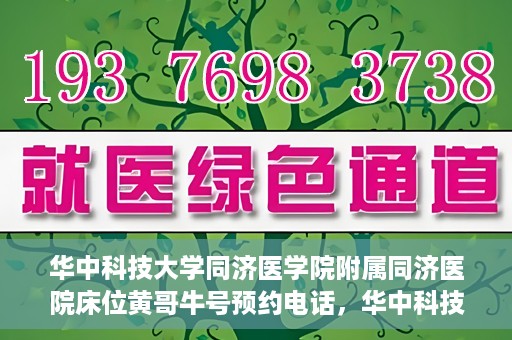 华中科技大学同济医学院附属同济医院床位黄哥牛号预约电话，华中科技大学同济医院床位预约及黄哥牛号咨询热线