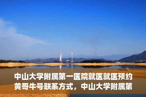 中山大学附属第一医院就医就医预约黄哥牛号联系方式，中山大学附属第一医院就医预约指南，黄哥牛号联系方式揭秘