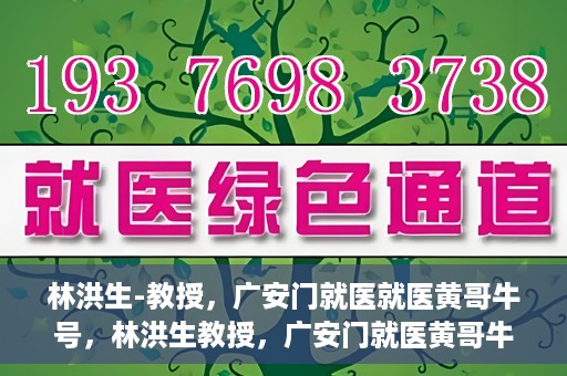 林洪生-教授，广安门就医就医黄哥牛号，林洪生教授，广安门就医黄哥牛号的探索与实践