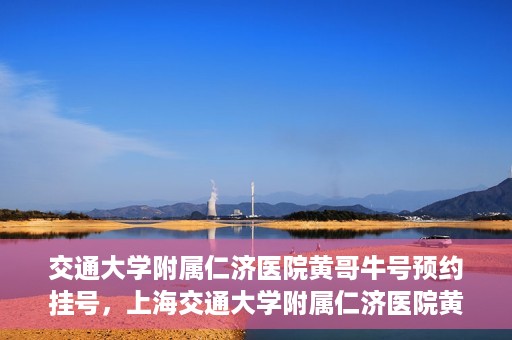 交通大学附属仁济医院黄哥牛号预约挂号，上海交通大学附属仁济医院黄哥牛号预约挂号攻略