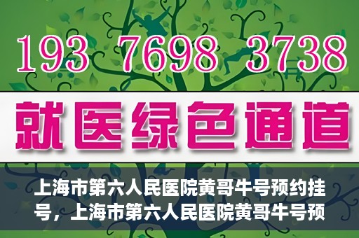 上海市第六人民医院黄哥牛号预约挂号，上海市第六人民医院黄哥牛号预约挂号攻略，轻松挂号，便捷就医体验
