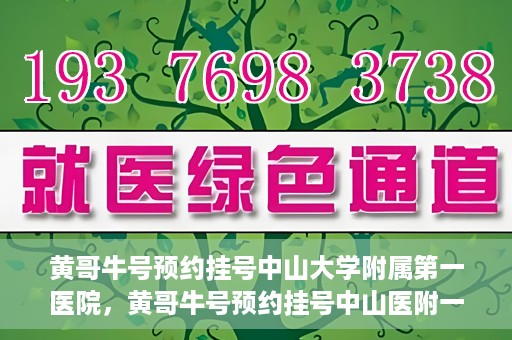 黄哥牛号预约挂号中山大学附属第一医院，黄哥牛号预约挂号中山医附一院，一站式便捷就医体验