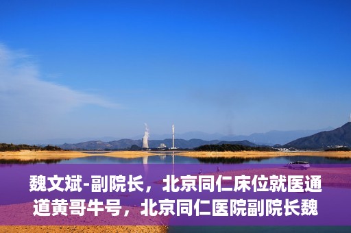 魏文斌-副院长，北京同仁床位就医通道黄哥牛号，北京同仁医院副院长魏文斌揭秘，床位就医通道背后的黄哥牛号故事