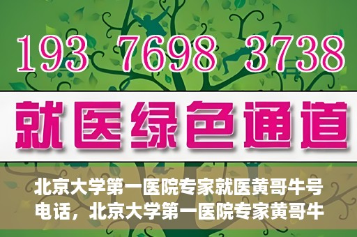 北京大学第一医院专家就医黄哥牛号电话，北京大学第一医院专家黄哥牛号电话就医指南