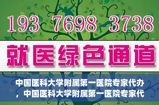 中国医科大学附属第一医院专家代办，中国医科大学附属第一医院专家代办服务详解