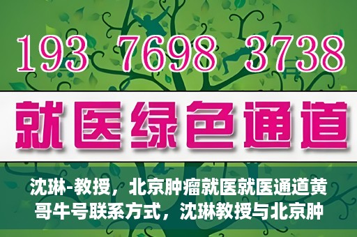 沈琳-教授，北京肿瘤就医就医通道黄哥牛号联系方式，沈琳教授与北京肿瘤就医通道，黄哥牛号联系方式揭秘