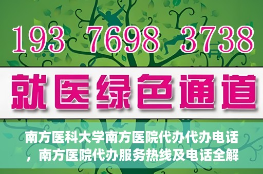 南方医科大学南方医院代办代办电话，南方医院代办服务热线及电话全解析