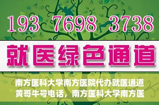 南方医科大学南方医院代办就医通道黄哥牛号电话，南方医科大学南方医院就医通道代办服务揭秘，黄哥牛号电话背后的故事