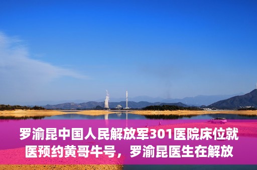 罗渝昆中国人民解放军301医院床位就医预约黄哥牛号，罗渝昆医生在解放军301医院的床位预约就医攻略，黄哥就医牛号助你轻松预约