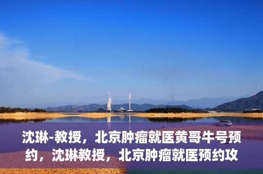 沈琳-教授，北京肿瘤就医黄哥牛号预约，沈琳教授，北京肿瘤就医预约攻略——黄哥牛号解读