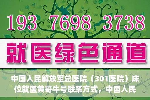 中国人民解放军总医院（301医院）床位就医黄哥牛号联系方式，中国人民解放军总医院（301医院）床位就医信息及联系方式解析，黄哥牛号就医指南