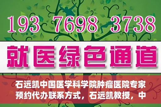 石远凯中国医学科学院肿瘤医院专家预约代办联系方式，石远凯教授，中国医学科学院肿瘤医院预约挂号代办联系方式揭秘