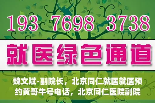 魏文斌-副院长，北京同仁就医就医预约黄哥牛号电话，北京同仁医院副院长魏文斌，就医预约背后的故事与黄哥牛号电话揭秘