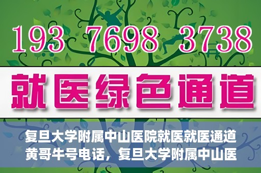 复旦大学附属中山医院就医就医通道黄哥牛号电话，复旦大学附属中山医院就医通道解析，黄哥牛号电话详解与就医指南