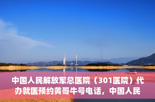 中国人民解放军总医院（301医院）代办就医预约黄哥牛号电话，中国人民解放军总医院（301医院）黄哥就医预约代办服务联系电话解析