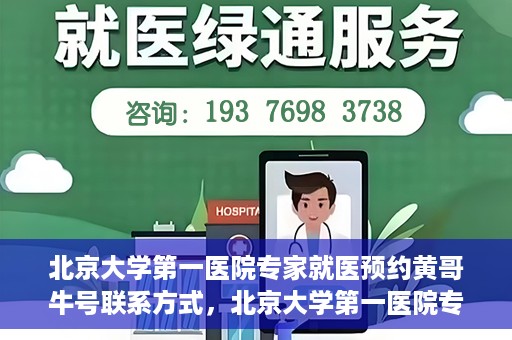 北京大学第一医院专家就医预约黄哥牛号联系方式，北京大学第一医院专家就医预约指南，黄哥牛号联系方式全解析