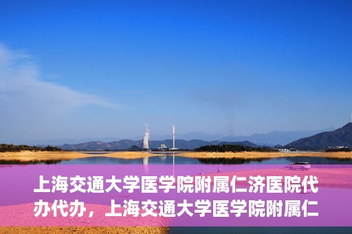 上海交通大学医学院附属仁济医院代办代办，上海交通大学医学院附属仁济医院代办服务详解，一站式代办解决方案