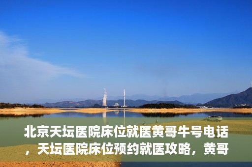 北京天坛医院床位就医黄哥牛号电话，天坛医院床位预约就医攻略，黄哥牛号电话全解析