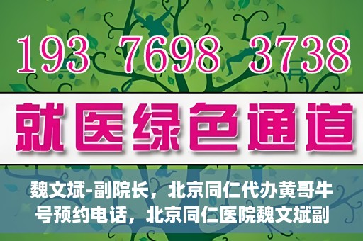 魏文斌-副院长，北京同仁代办黄哥牛号预约电话，北京同仁医院魏文斌副院长，黄哥牛号预约电话解读与代办服务解析