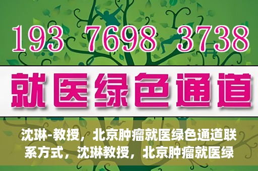 沈琳-教授，北京肿瘤就医绿色通道联系方式，沈琳教授，北京肿瘤就医绿色通道的联系通道及其实用指南