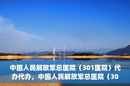 中国人民解放军总医院（301医院）代办代办，中国人民解放军总医院（301医院）代办业务详解，专业代办，高效便捷服务