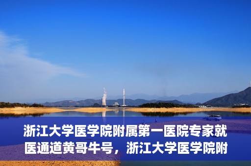 浙江大学医学院附属第一医院专家就医通道黄哥牛号，浙江大学医学院附属第一医院专家就医通道，黄哥牛号助您轻松挂号就医