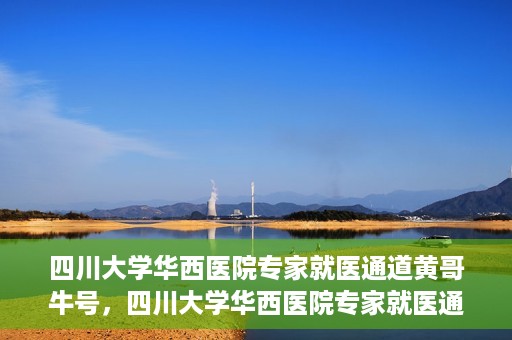 四川大学华西医院专家就医通道黄哥牛号，四川大学华西医院专家就医通道，黄哥牛号引领就医新风尚