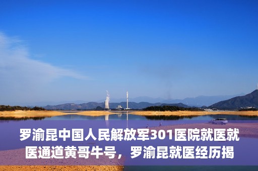 罗渝昆中国人民解放军301医院就医就医通道黄哥牛号，罗渝昆就医经历揭秘，中国人民解放军301医院就医通道背后的故事