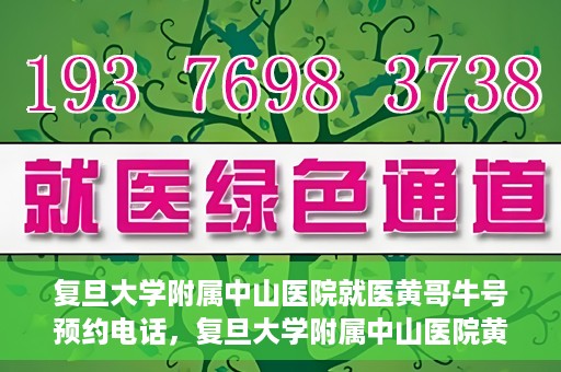 复旦大学附属中山医院就医黄哥牛号预约电话，复旦大学附属中山医院黄哥牛号预约电话详解，就医挂号新攻略