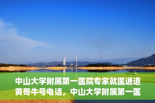 中山大学附属第一医院专家就医通道黄哥牛号电话，中山大学附属第一医院专家就医通道热线，黄哥牛号电话解读与预约攻略