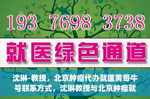 沈琳-教授，北京肿瘤代办就医黄哥牛号联系方式，沈琳教授与北京肿瘤就医黄哥牛号，联系方式揭秘