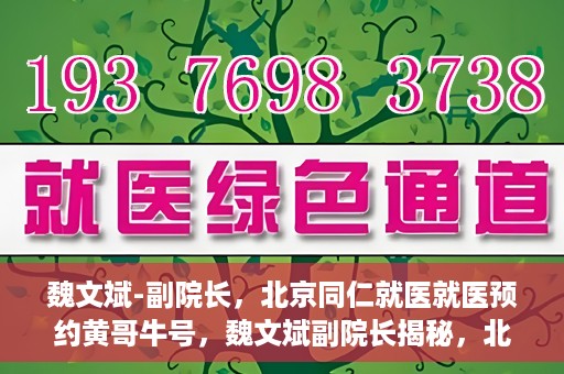 魏文斌-副院长，北京同仁就医就医预约黄哥牛号，魏文斌副院长揭秘，北京同仁医院就医预约的黄哥牛号攻略