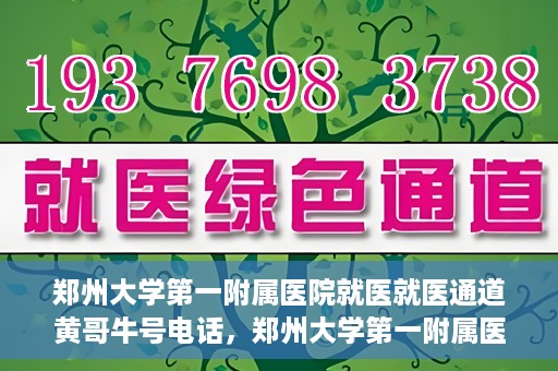 郑州大学第一附属医院就医就医通道黄哥牛号电话，郑州大学第一附属医院就医通道解析，黄哥牛号电话全解析