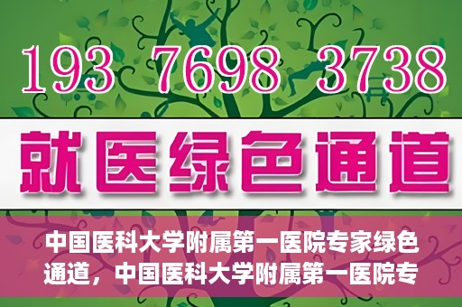 中国医科大学附属第一医院专家绿色通道，中国医科大学附属第一医院专家绿色通道，高效就医体验，专业医疗守护