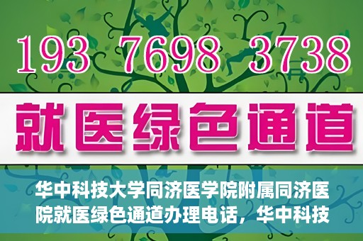 华中科技大学同济医学院附属同济医院就医绿色通道办理电话，华中科技大学同济医院就医绿色通道咨询热线，一站式解决您的就医难题！