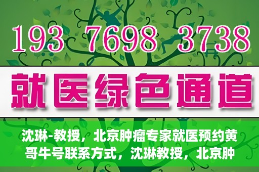沈琳-教授，北京肿瘤专家就医预约黄哥牛号联系方式，沈琳教授，北京肿瘤专家预约攻略及黄哥牛号联系方式揭秘
