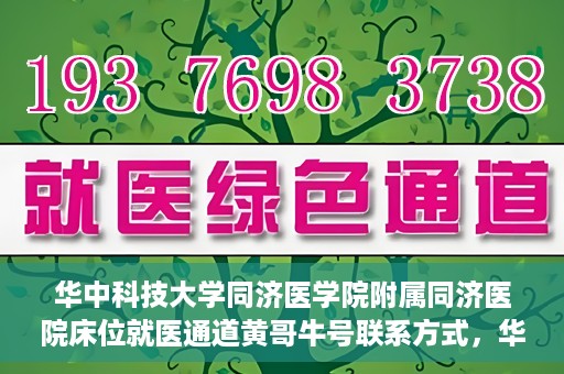 华中科技大学同济医学院附属同济医院床位就医通道黄哥牛号联系方式，华中科技大学同济医院床位就医通道，黄哥牛号联系方式揭秘