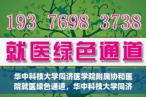华中科技大学同济医学院附属协和医院就医绿色通道，华中科技大学同济医学院附属协和医院就医绿色通道简介