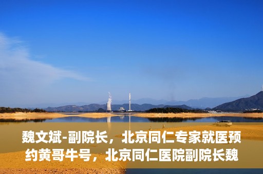 魏文斌-副院长，北京同仁专家就医预约黄哥牛号，北京同仁医院副院长魏文斌，专家预约背后的故事与黄哥牛号揭秘