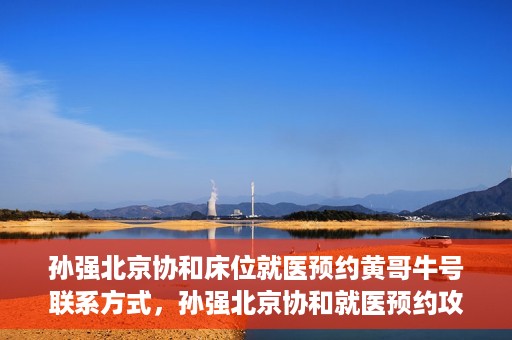 孙强北京协和床位就医预约黄哥牛号联系方式，孙强北京协和就医预约攻略，床位预约、联系方式全解析