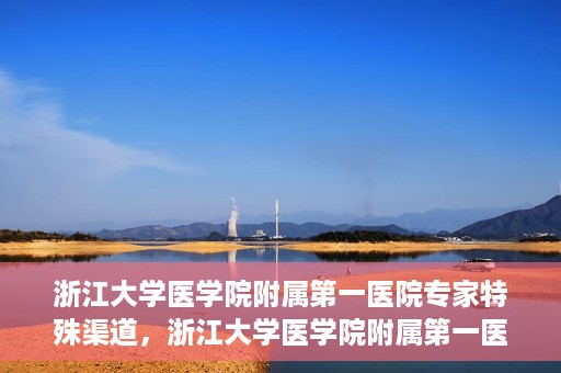 浙江大学医学院附属第一医院专家特殊渠道，浙江大学医学院附属第一医院专家特殊渠道解析与探索