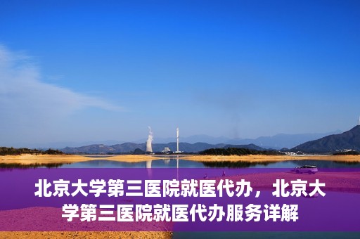 北京大学第三医院就医代办，北京大学第三医院就医代办服务详解