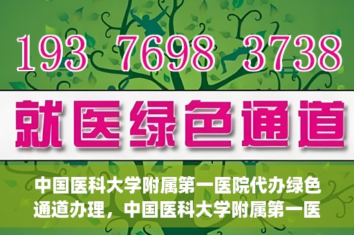 中国医科大学附属第一医院代办绿色通道办理，中国医科大学附属第一医院绿色通道代办服务详解