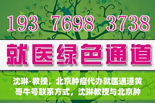 沈琳-教授，北京肿瘤代办就医通道黄哥牛号联系方式，沈琳教授与北京肿瘤就医通道，黄哥牛号联系方式揭秘