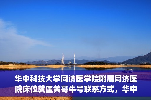 华中科技大学同济医学院附属同济医院床位就医黄哥牛号联系方式，华中科技大学同济医院床位就医信息及黄哥牛号联系方式揭秘